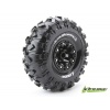 Louise RC Opony CR-CHAMP 2.2 super soft Crawler T3238VI